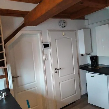 Im Harzer Vogelnest Meisennest Apartment