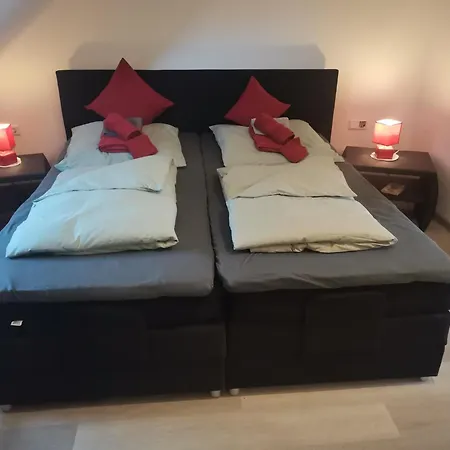 Im Harzer Vogelnest Meisennest Apartment